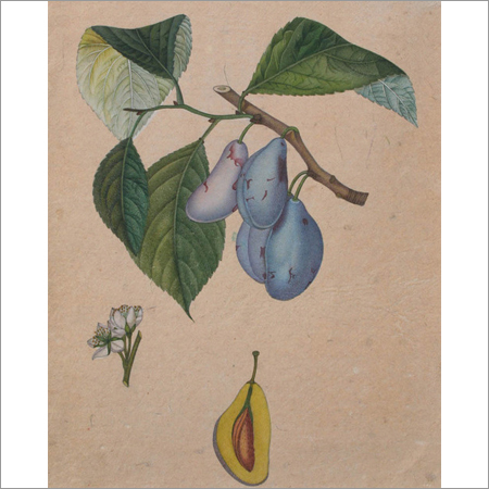 The Plum Paintings