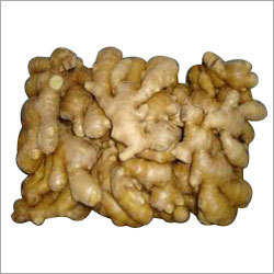 Dry Ginger