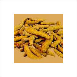 Dry Turmeric