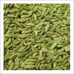 Fennel Seeds