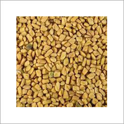 Fenugreek Seeds