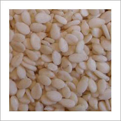 Sesame Seeds