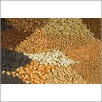 Seeds