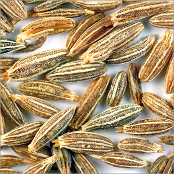 Cumin Seeds