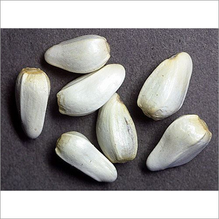 Safflower Seeds