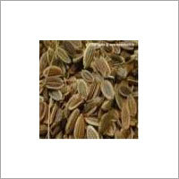 Dill Seed Oil
