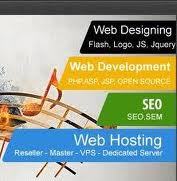 Electronic & Computer Software Consultant