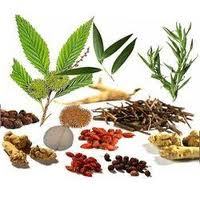 Pharmaceuticals & Herbal Products Consultant