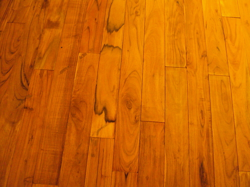 Commercial Hardwood Floor