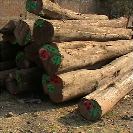 Round Logs