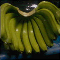 Fresh Fruit Banana
