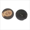 Coconut Button