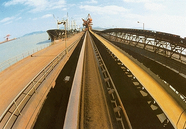 Polyester Conveyor Belt