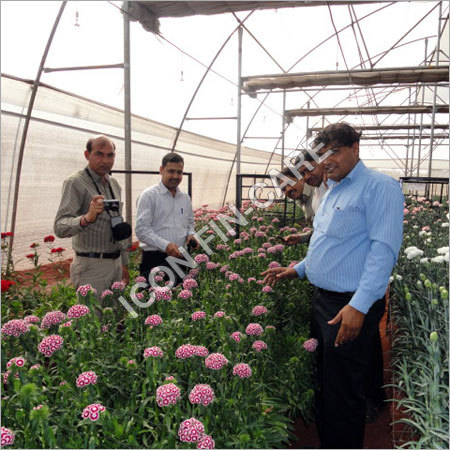 Agriculture Projects