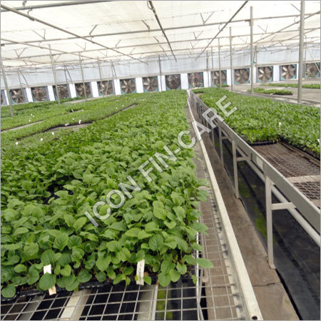 Nutritious Vegetables Project