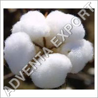 Raw Cotton