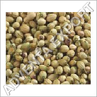 Coriander Seeds
