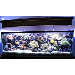 Aquarium