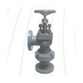 Cast Iron Accessible Feed Check Valve