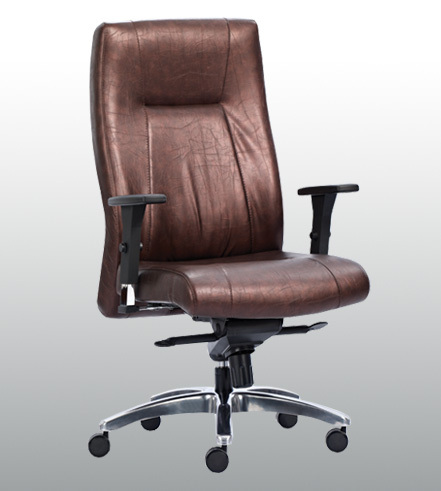 Director Chair