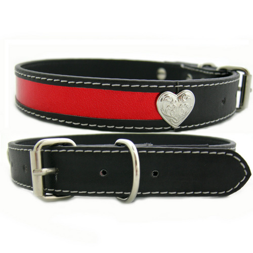 Pet Products