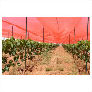 Agricultural Shed Nets