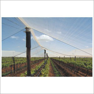 Shed Net White