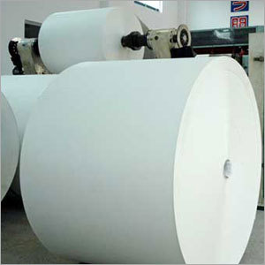 PE Coated Paper