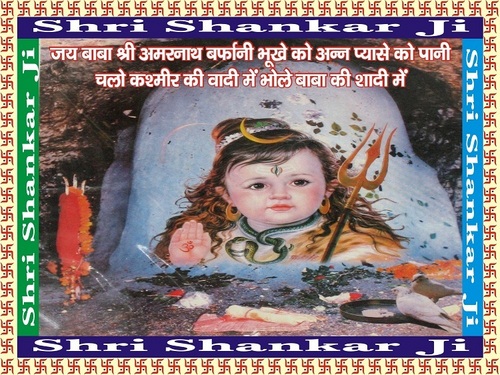 Think Pad Digitizer Pen