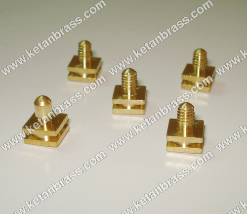 Brass Moulding Screw