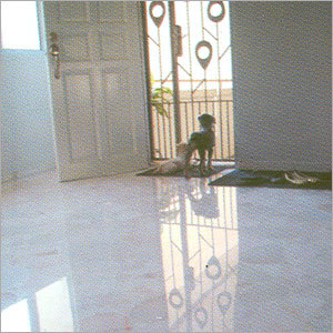 Floor Polishing Service