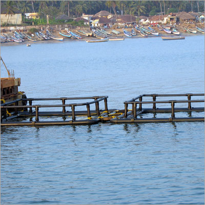 Fish Cage Farming System