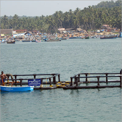 Fish Cage Mooring