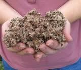 Cotton Seed Hulls Exporter