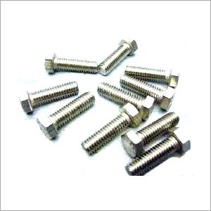 Stainless Steel Nuts