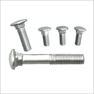 Stainless Steel Carriage Bolt