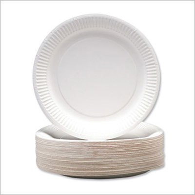 Paper Plate