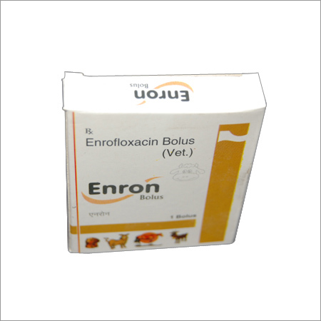 Enron Bolus