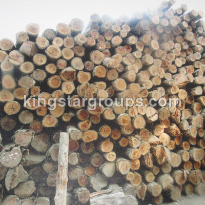 Teak Wood