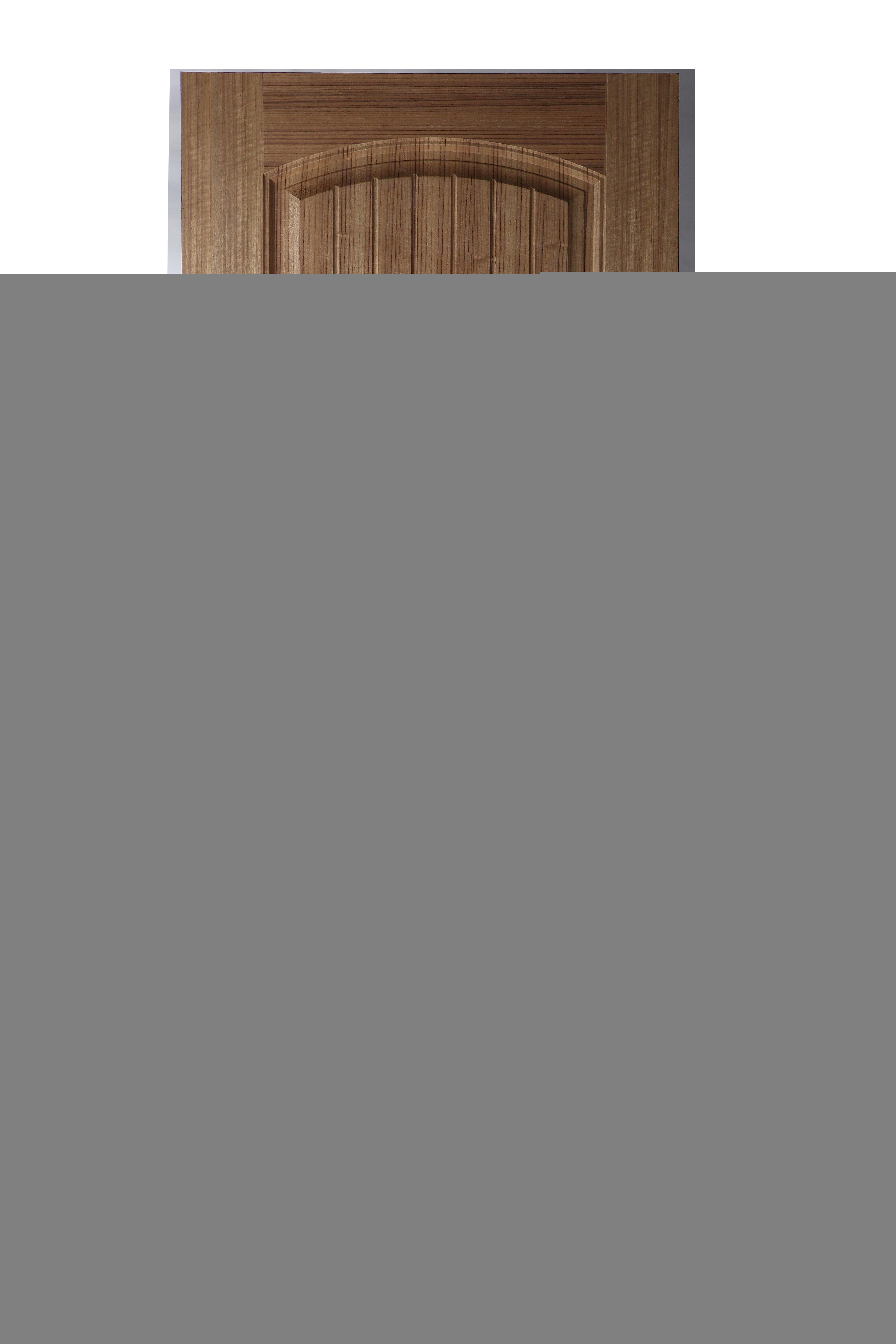 Veneer Doors
