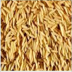 Rice Products