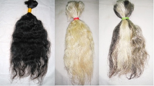Human Hair & Accessories