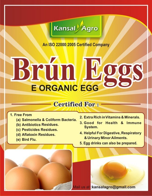 Brun Eggs
