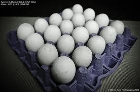 Regular Egg