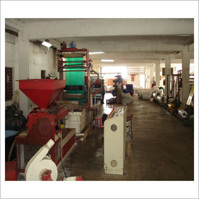 Raffia Tape Plant