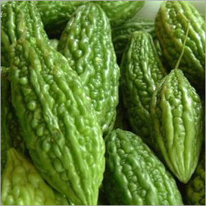 Bitter Gourd