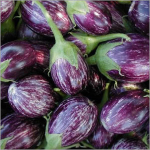Brinjal