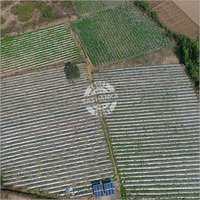 सोलर ड्रिप और स्प्रिंकलर सिंचाई