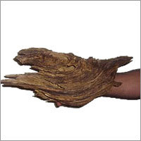 Indian Agar Wood