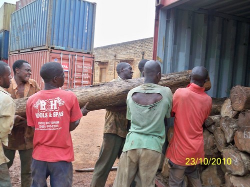 Sudan Teak Logs - Teak Wood Variable Diameter and Length | Durable Strong Sustainable Eco-Friendly Versatile